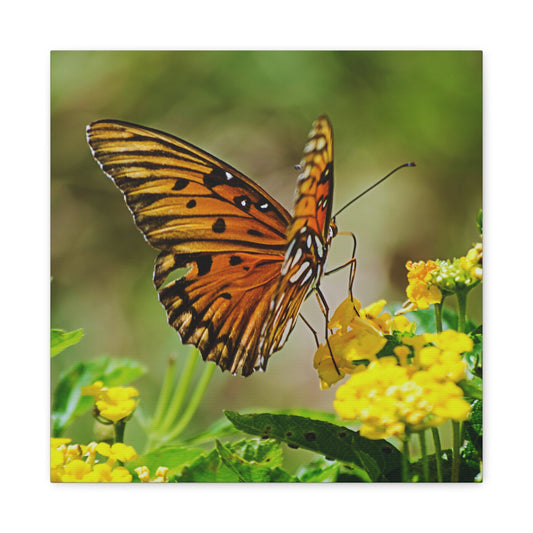 Butterfly Canvas Wall Art 4