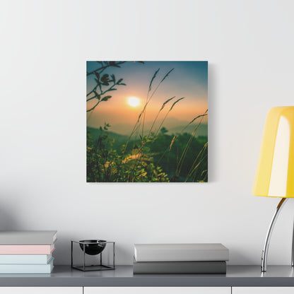 Nature Canvas Art
