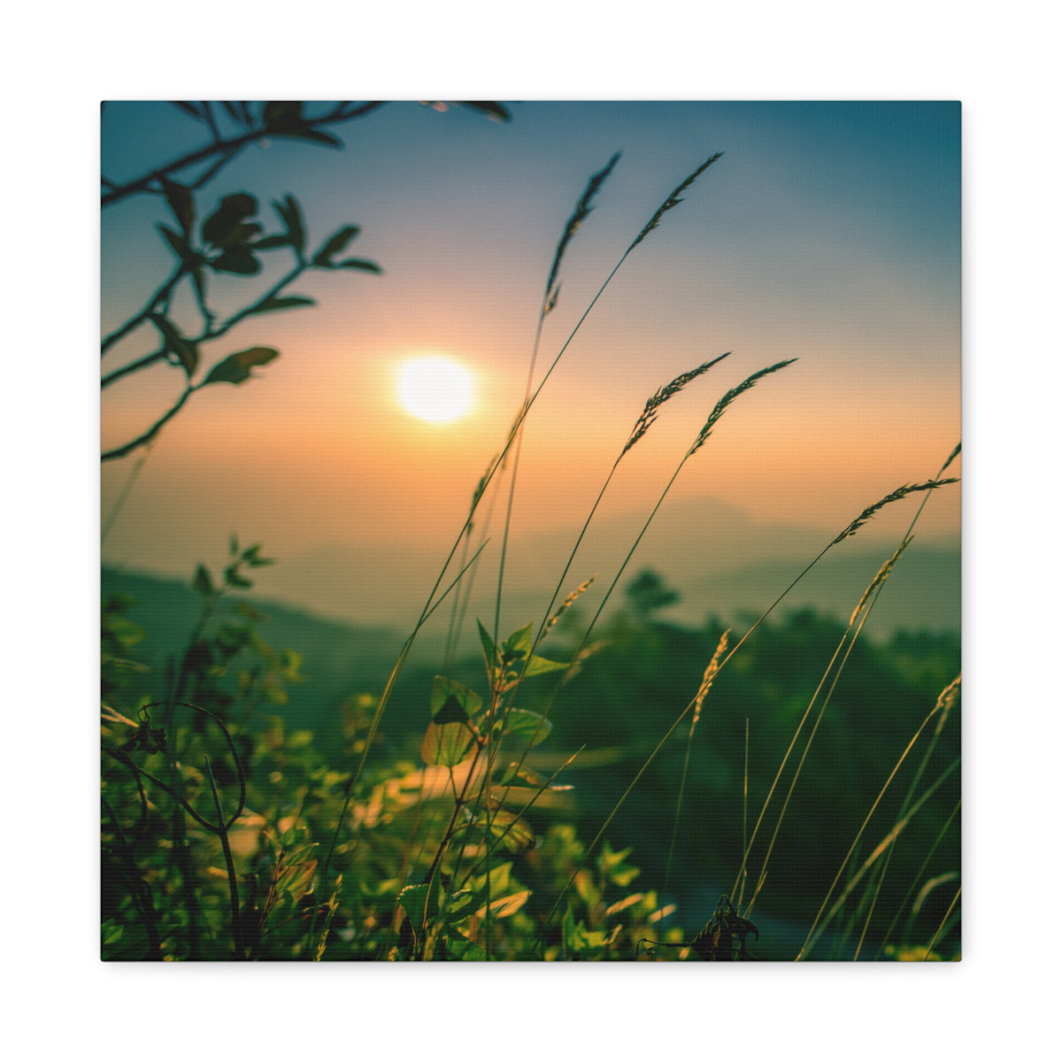 Nature Canvas Art