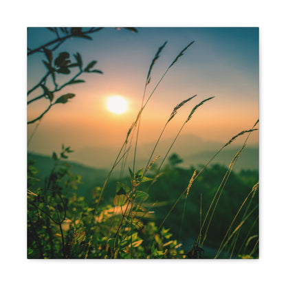 Nature Canvas Art