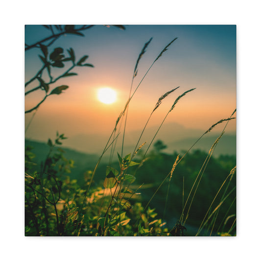 Nature Canvas Art