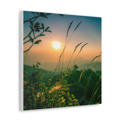 Nature Canvas Art