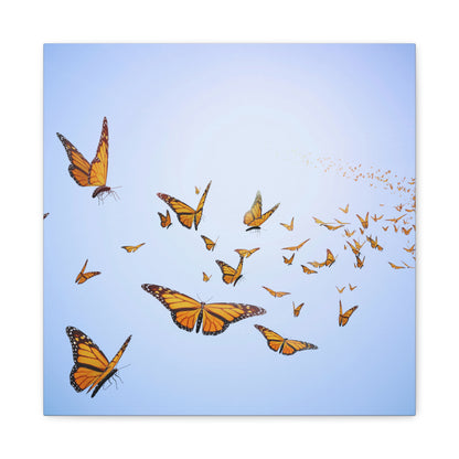 Butterfly Wall Art