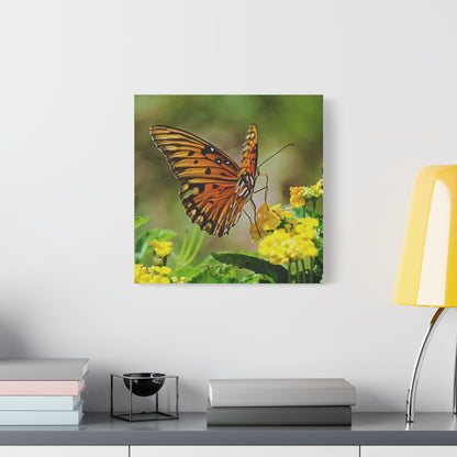 Butterfly Canvas Wall Art 4