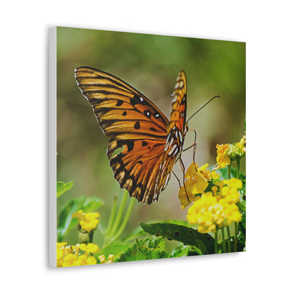 Butterfly Canvas Wall Art 4