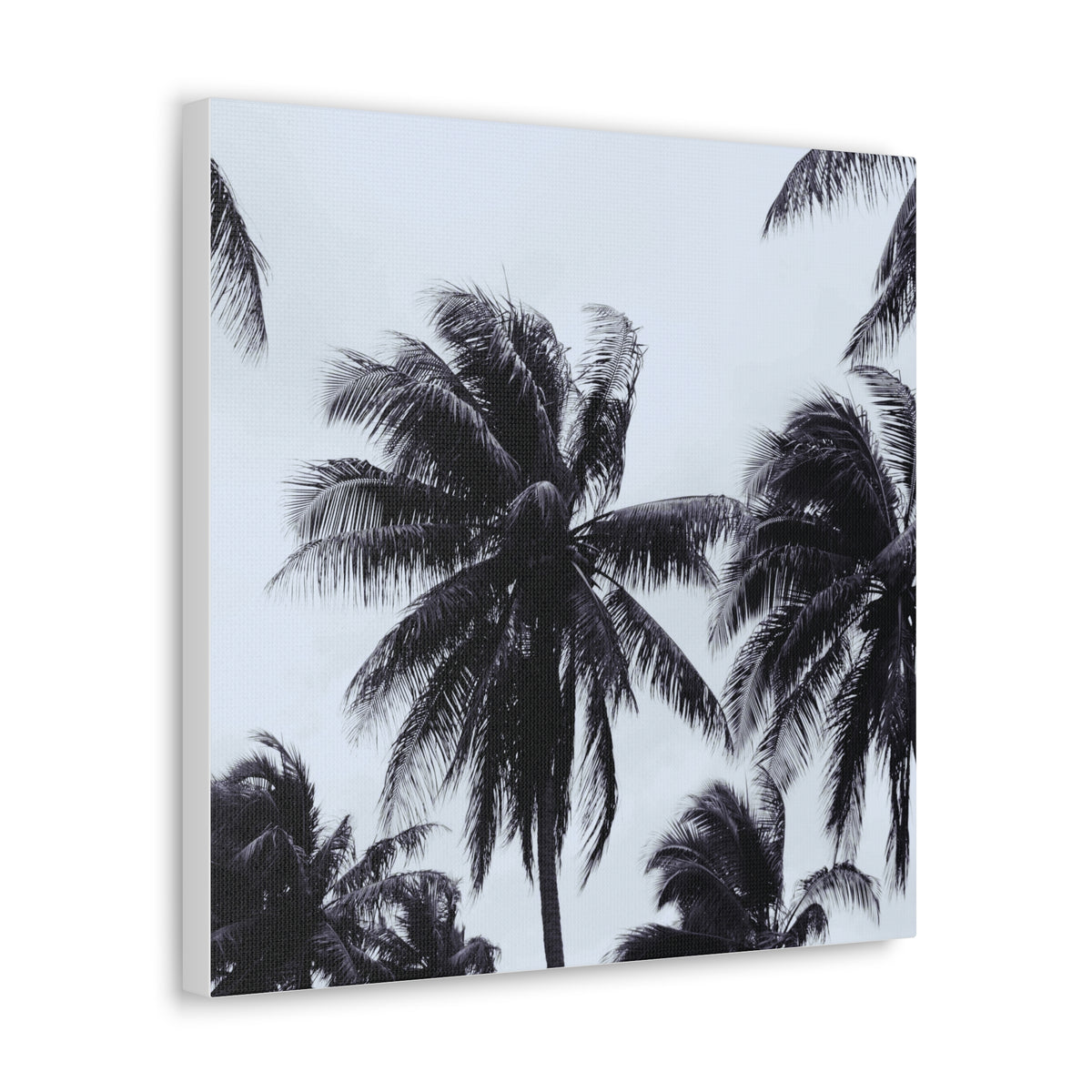 Black and White Palm Tree Canvas Wall Art 5