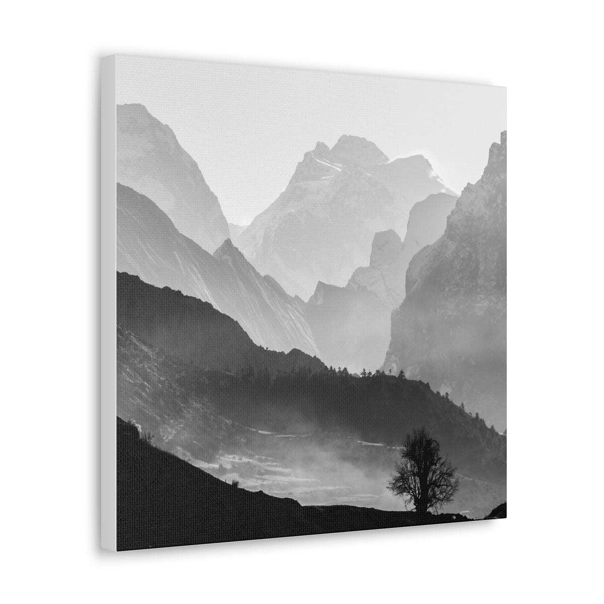 Black and White Canvas Wall Art 1