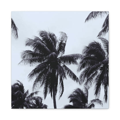 Black and White Palm Tree Canvas Wall Art 5